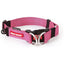 EzyDog Double Up Premium Nylon Dog Collar with Reflective Stitching EZY Dog