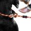 EzyDog Luca All-in-One Slip Collar Climbing Rope Dog Leash Combo EZY Dog