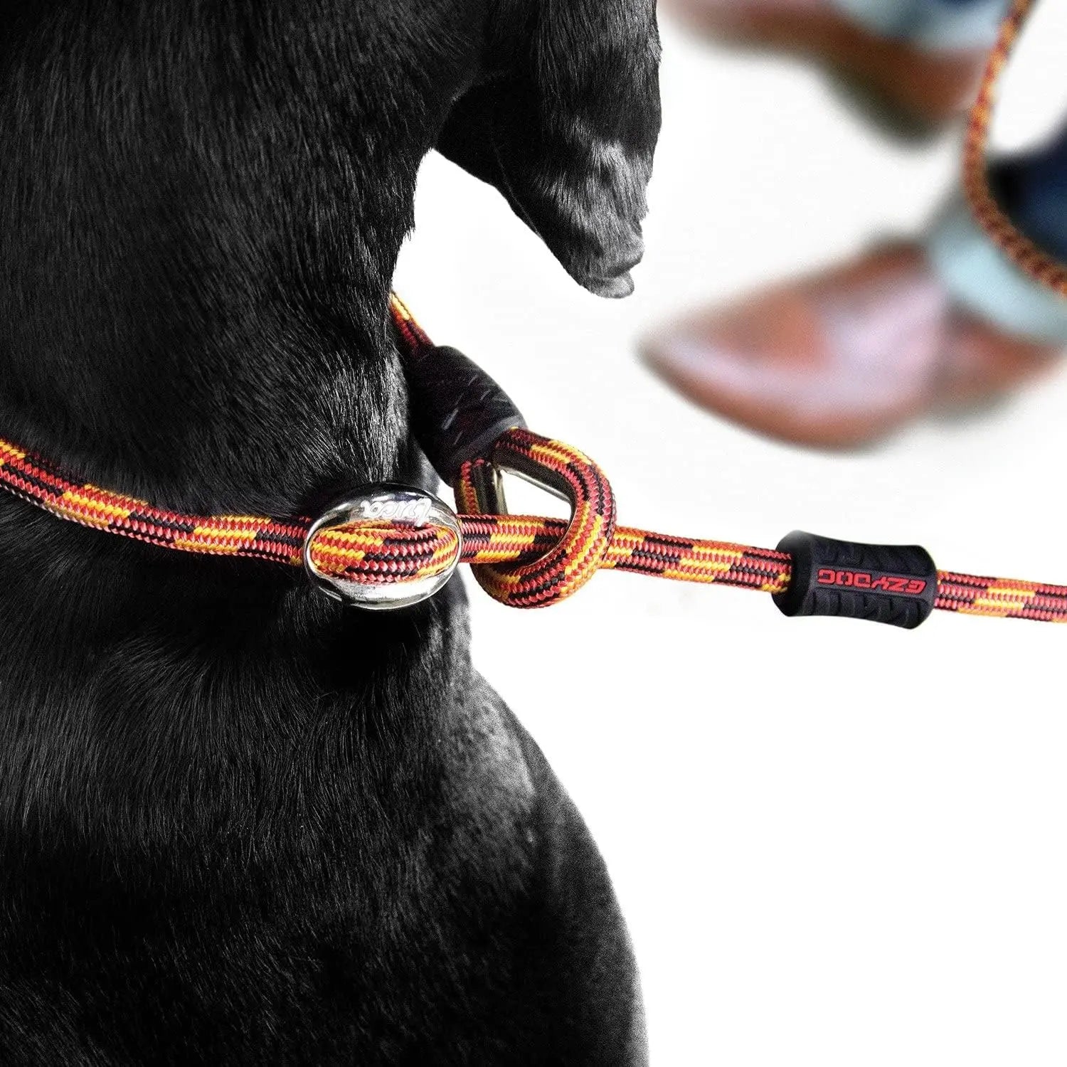 EzyDog Luca All-in-One Slip Collar Climbing Rope Dog Leash Combo EZY Dog