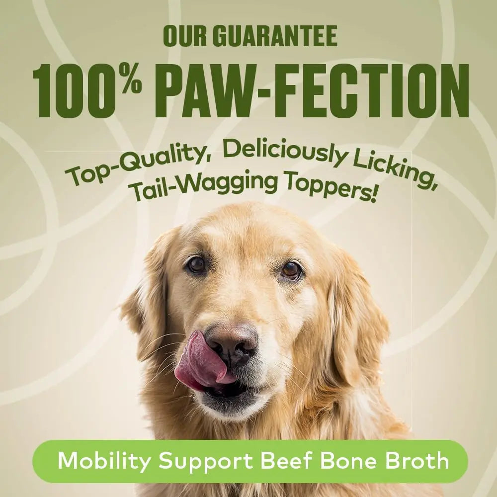 Furvor Mobility Support Beef Bone Broth Healthy Dog Food Topper Furvor