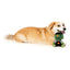 FuzzYard Dog Toy JackO Chan Frankenstein FuzzYard