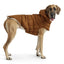 GF Pet Arctic Parka Dog Jacket GF Pet