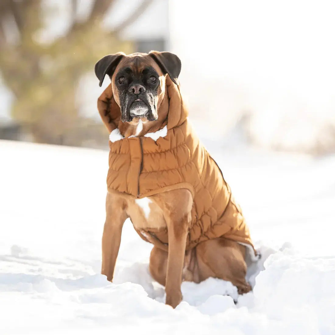 GF Pet Arctic Parka Dog Jacket GF Pet