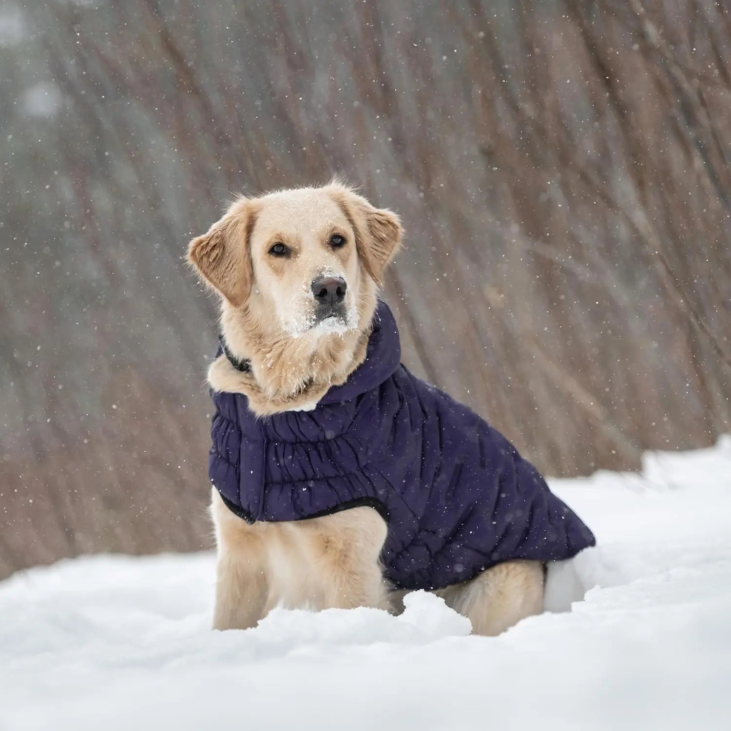 GF Pet Cloud Parka Dog Coat GF Pet