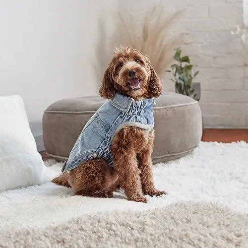 GF Pet Denim Jacket All Season Dog Jacket Light Wash GF Pet