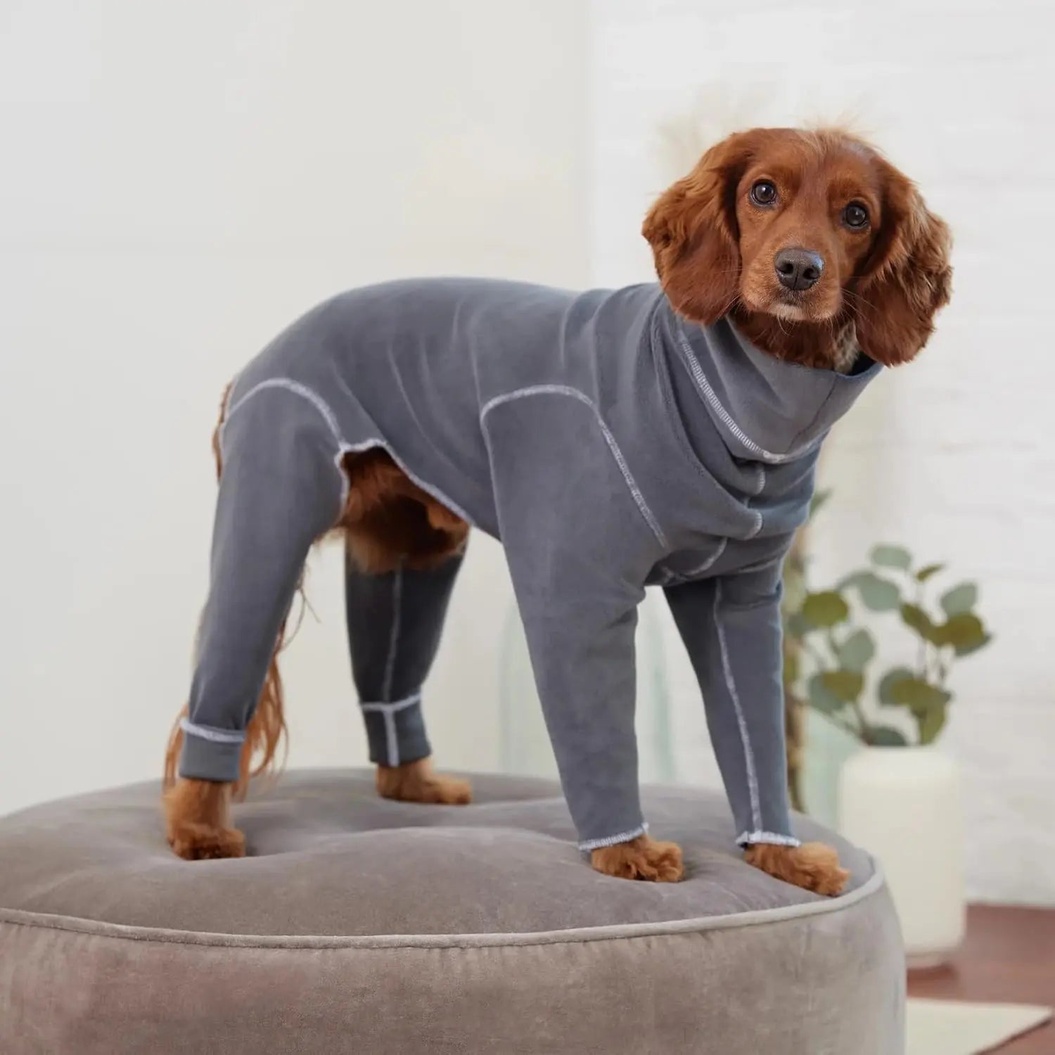 GF Pet Gondola Base Layer Dog Onesie GF Pet