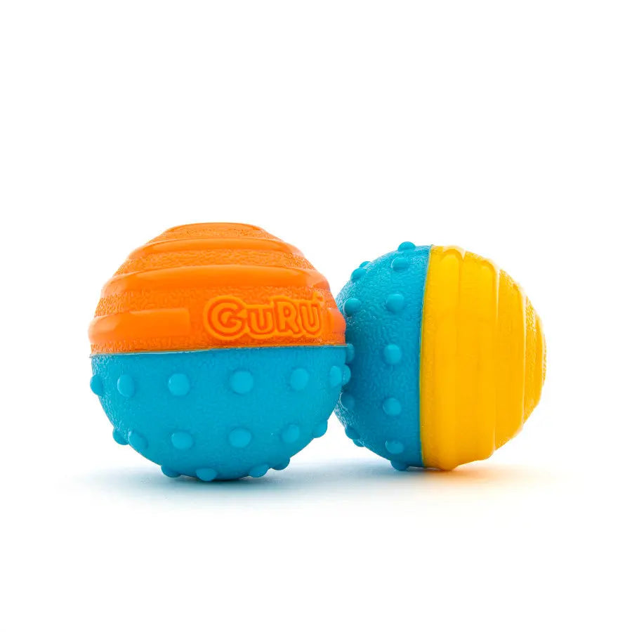 GURU Crunch & Squeak Ball Dog Toy 2 pk GURU