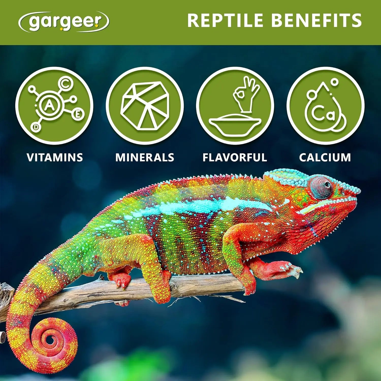 Gargeer All Reptiles Color Enhancer Reptile Food Supplement 2oz Gargeer