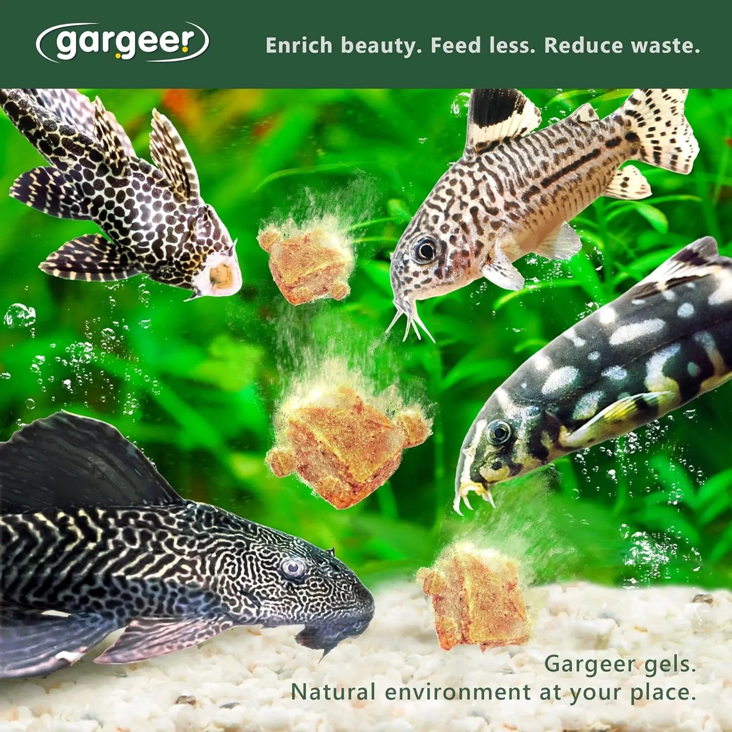 Gargeer Complete Bottom Dweller Fish Food for Advanced Breeders 3oz Gargeer