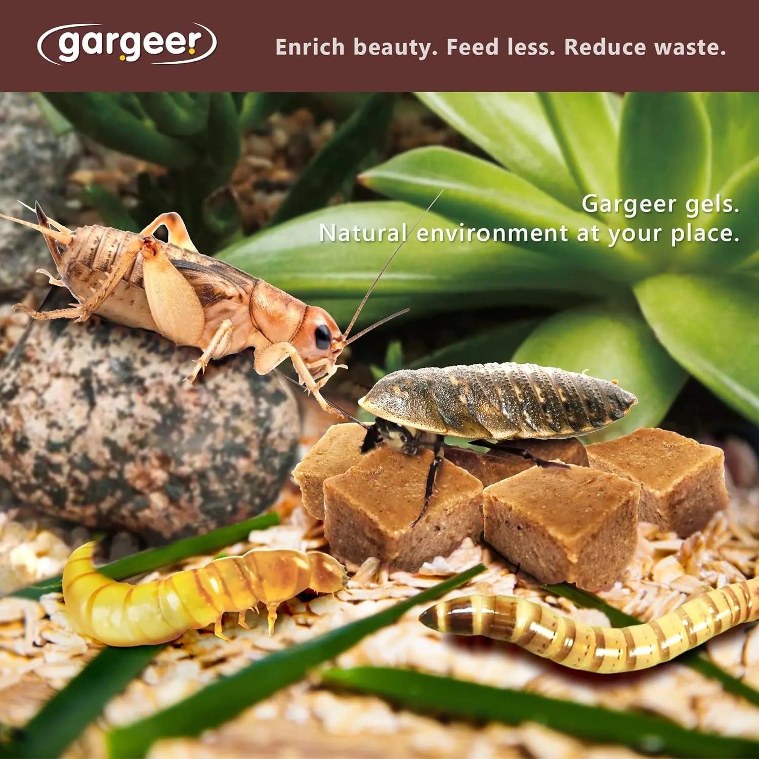 Gargeer Complete Gel Diet for Bugs and Insects for Roaches, Worms, and Crickets Gargeer