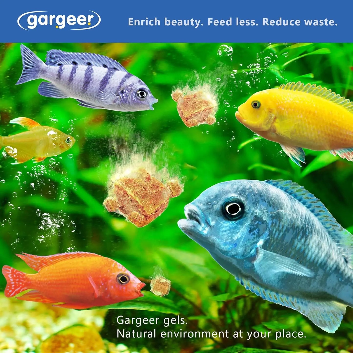 Gargeer Premium African Cichlid Food Balanced Diet for All Ages Gargeer