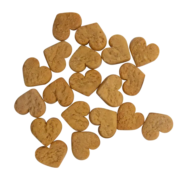 Health Extension Impawfect Pumpkin & Ginger Soft & Chewy DogTreats for Digestive Support 4.5oz Health Extension