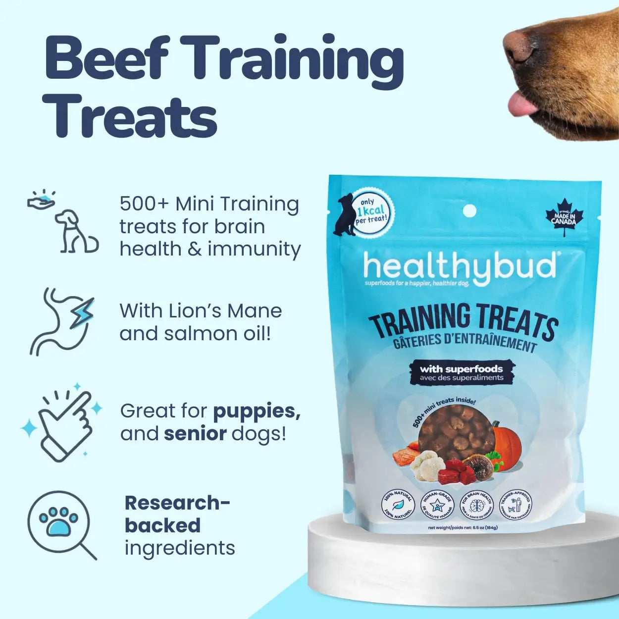 Healthybud Beef Mini Training Treats for Dogs 6.5 Oz Healthybud