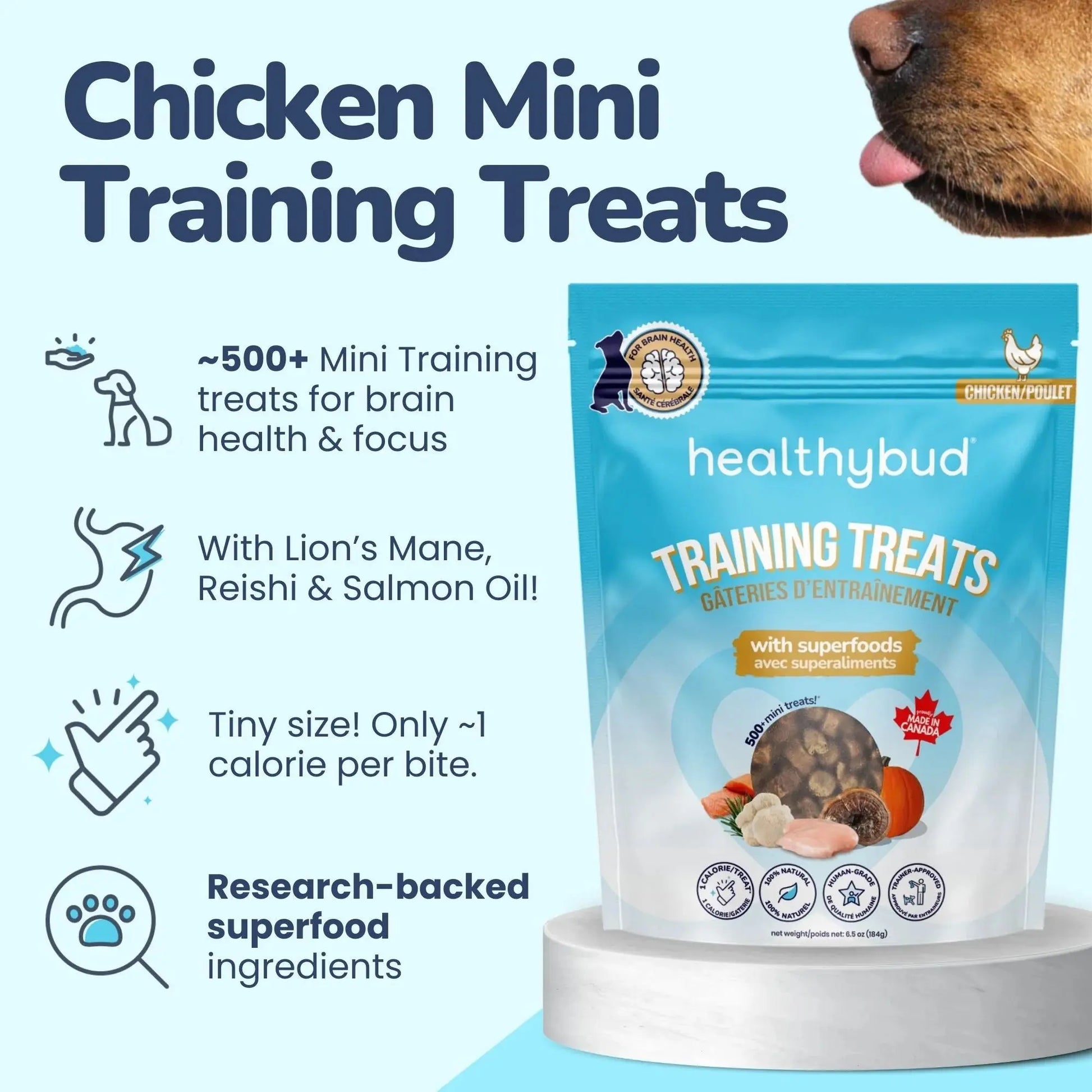 Healthybud Chicken Mini Training Treats for Dogs 6.5 oz Healthybud