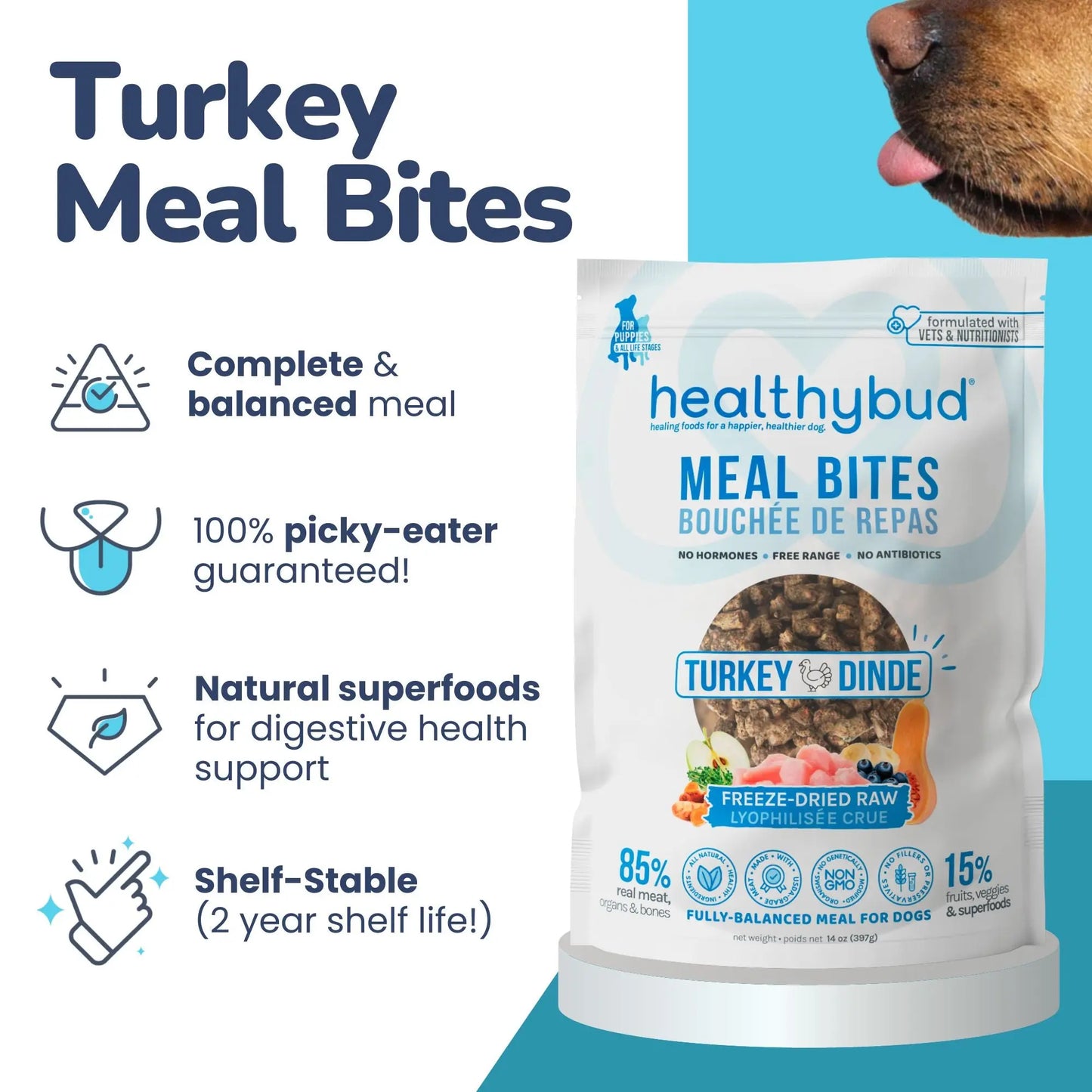 Healthybud Turkey Meal Bites Freeze-Dried Dog Food 14Oz Healthybud