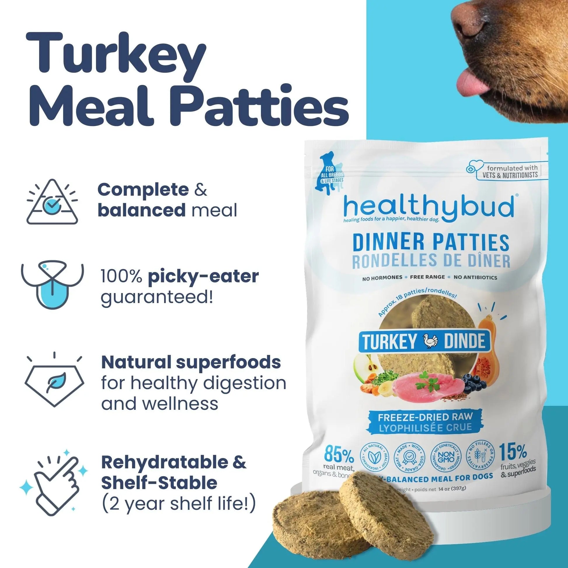 Healthybud Turkey Patties Freeze-Dried Dog Food 14 oz Healthybud