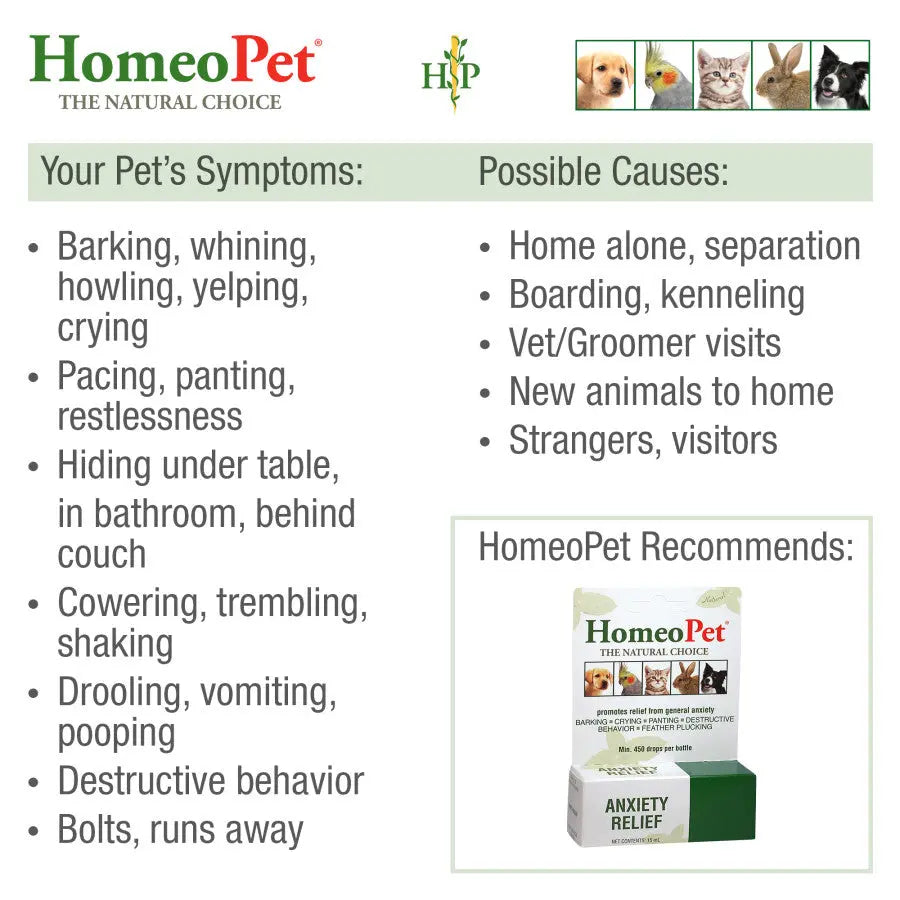 Homeopet® Anxiety Relief for Pets 15 Ml Homeopet®