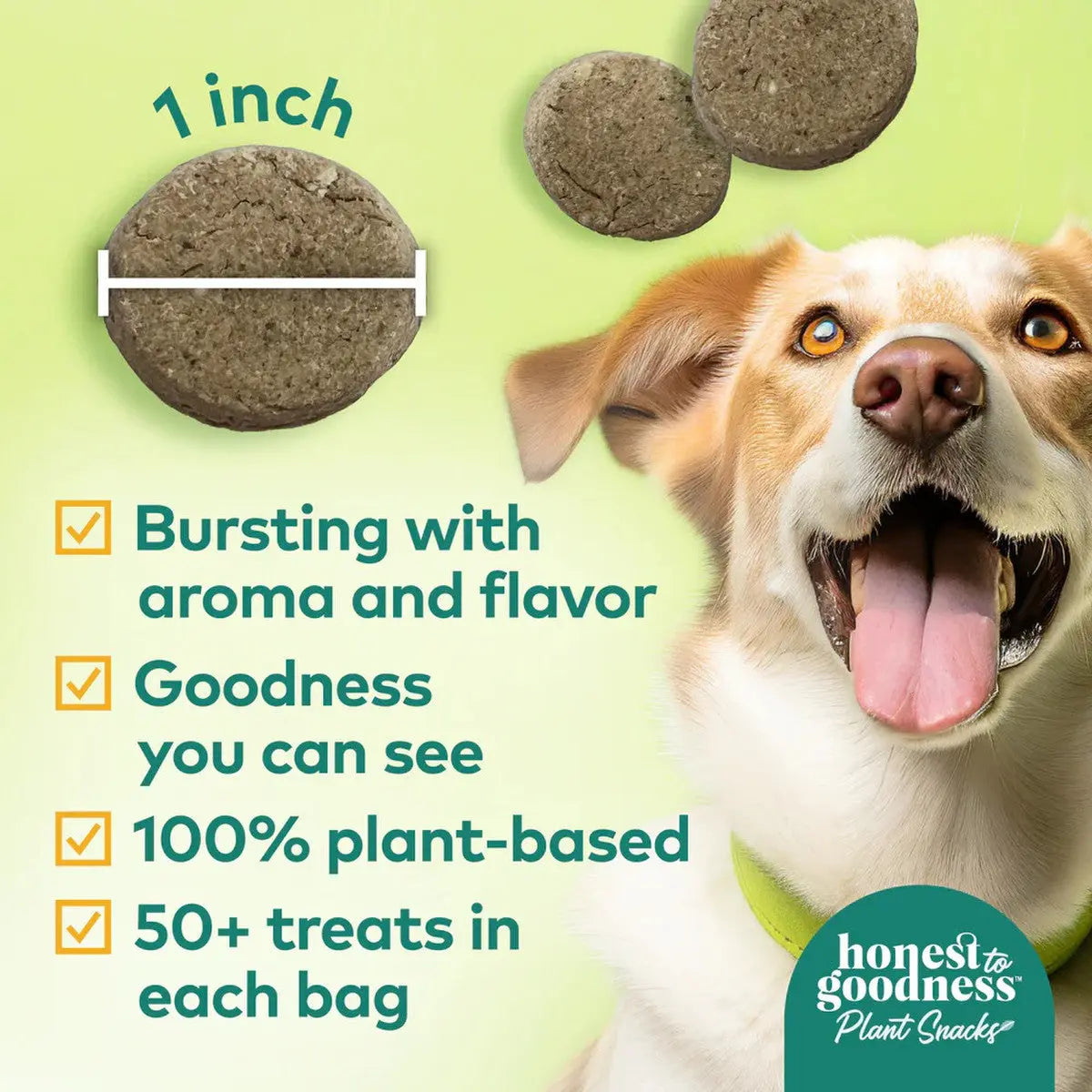 Honest To Goodness™ Plant Snacks Good Vibes Chamomile & Ginger Recipe Dog Treats 8oz Honest To Goodness