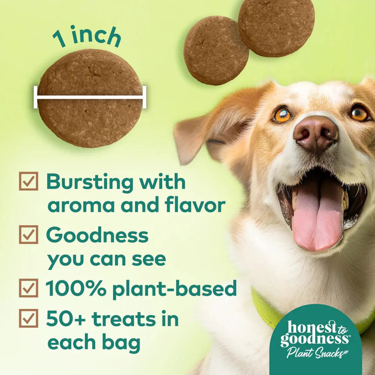 Honest To Goodness™ Plant Snacks Way to Glow Coconut & Flax Recipe Dog Treats 8oz Honest To Goodness