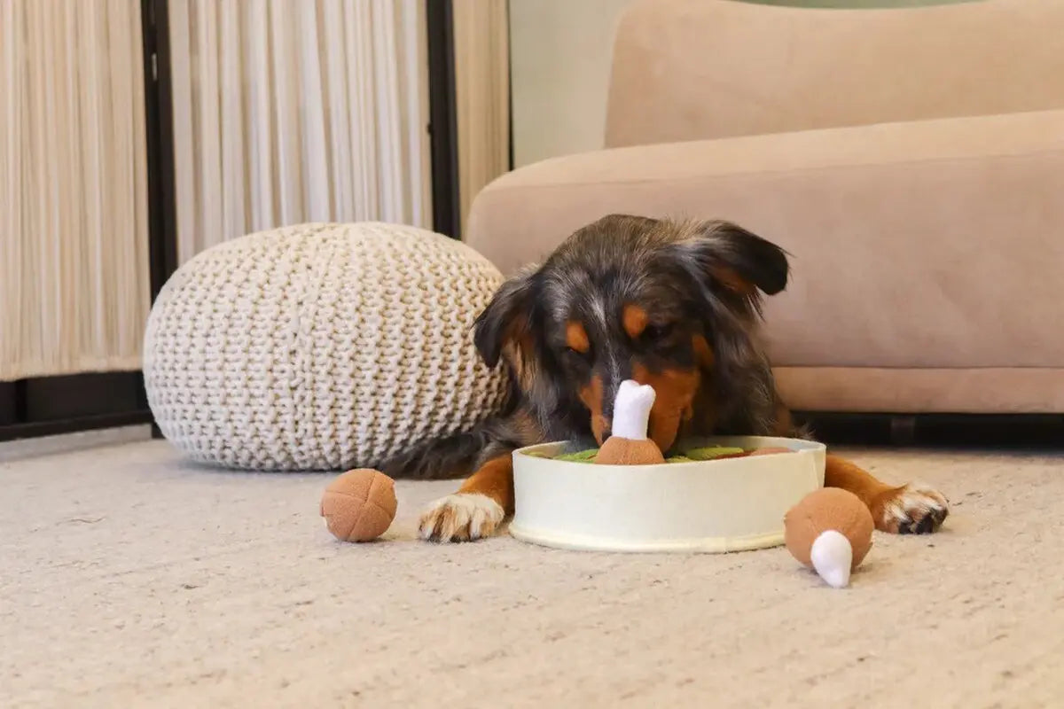 Injoya Chicken n’ Gravy Snuffle Bowl Injoya