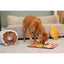 Injoya Pastry Shoppe Snuffle Mat for Dogs Injoya