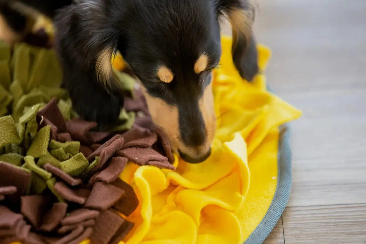 Injoya Sunflower Best Snuffle Mat for Dogs Injoya