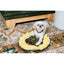 Injoya Sunflower Best Snuffle Mat for Dogs Injoya