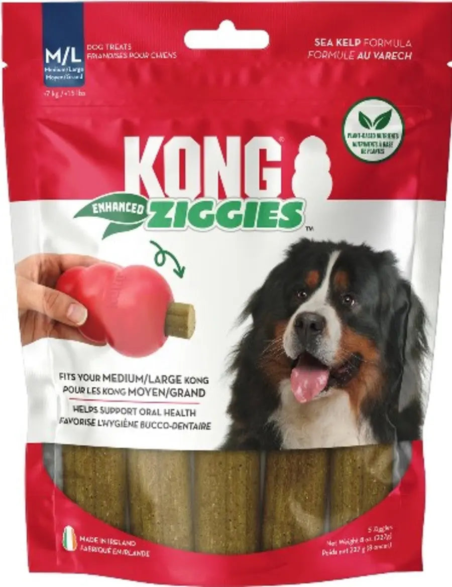 KONG Ziggies Enhanced Plant-Based Dog Treats Kong