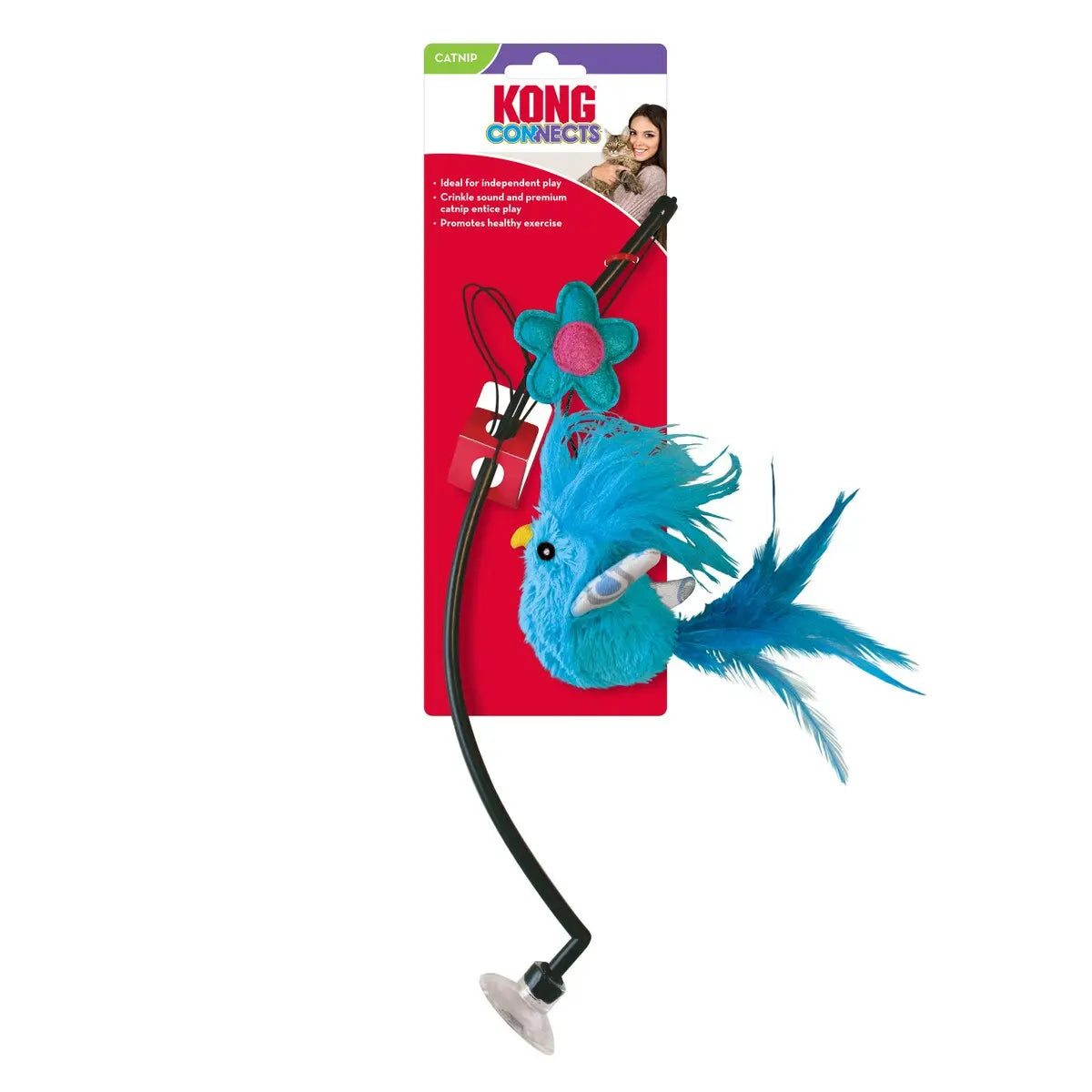 KONG® Connects Window Teaser Assorted Cat Toy Kong