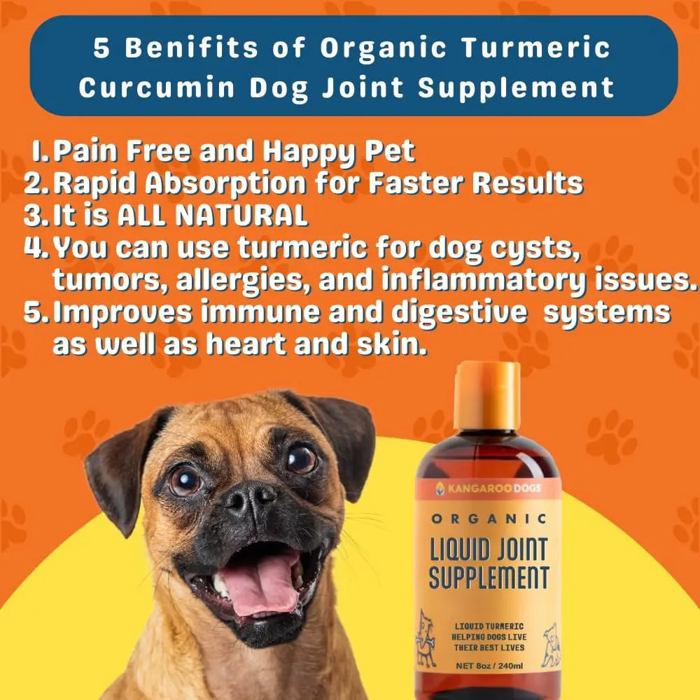 Kangaroo Dogs Organic Turmeric Curcumin Dog Joint Supplement 8oz Kangaroo Dogs