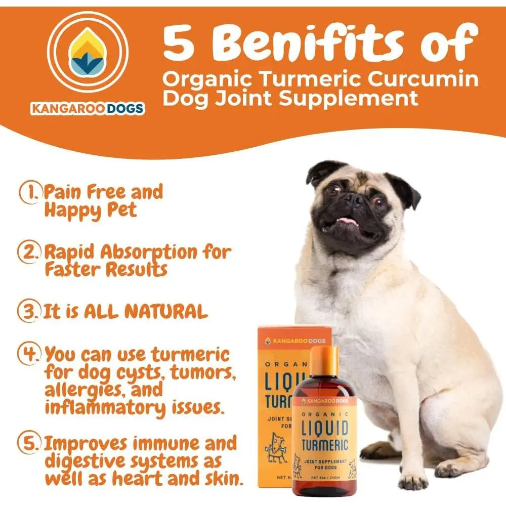 Kangaroo Dogs Organic Turmeric Curcumin Dog Joint Supplement 8oz Kangaroo Dogs