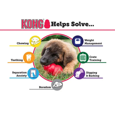 Kong Puppy Dog Toys Assorted Kong®