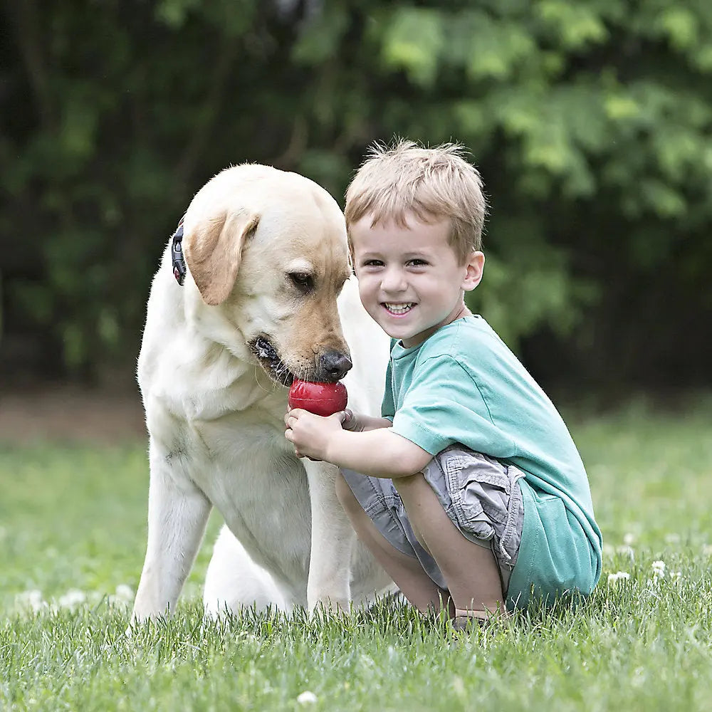 Kong® Classic Dog Toys Red Kong®