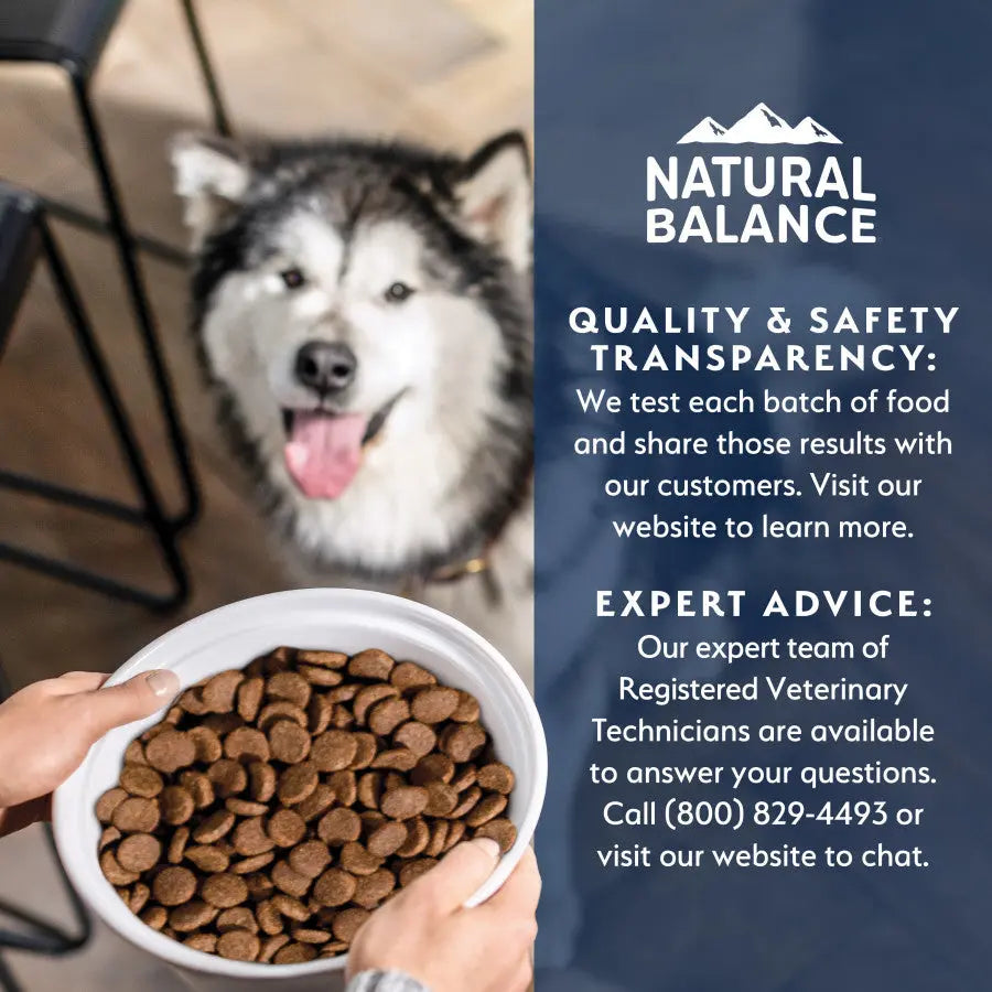 Natural Balance Health Protection Adult Real Chicken, Brown Rice & Pumpkin Dry Dog Food Natural Balance