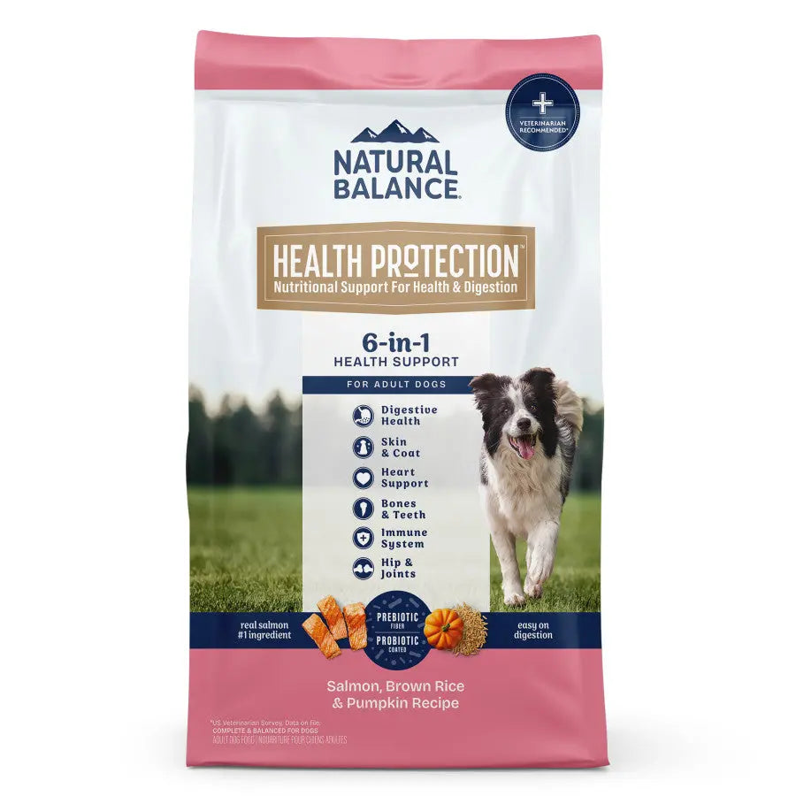 Natural Balance Health Protection Adult Salmon, Brown Rice & Pumpkin Dry Dog Food Natural Balance