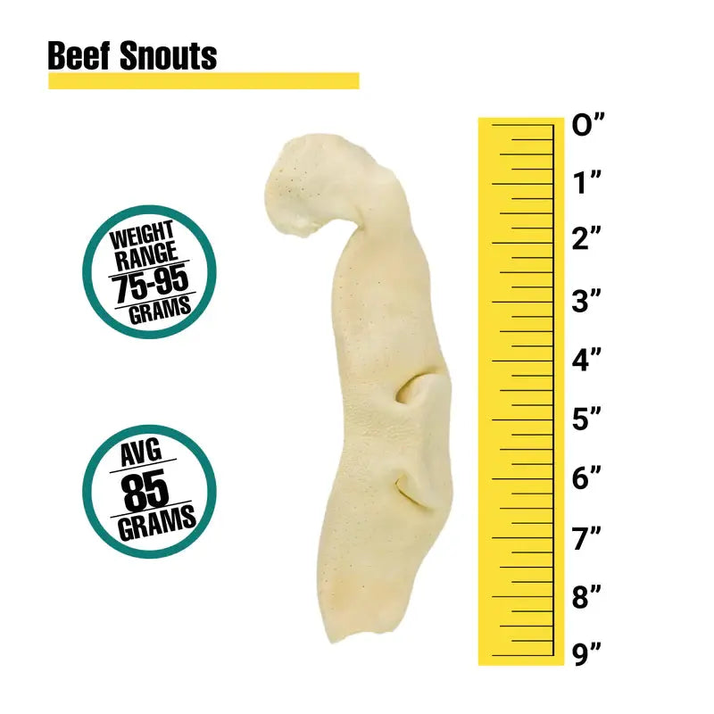 Natural Beef Snouts Dog Chew Treats 10 Units Talis Us