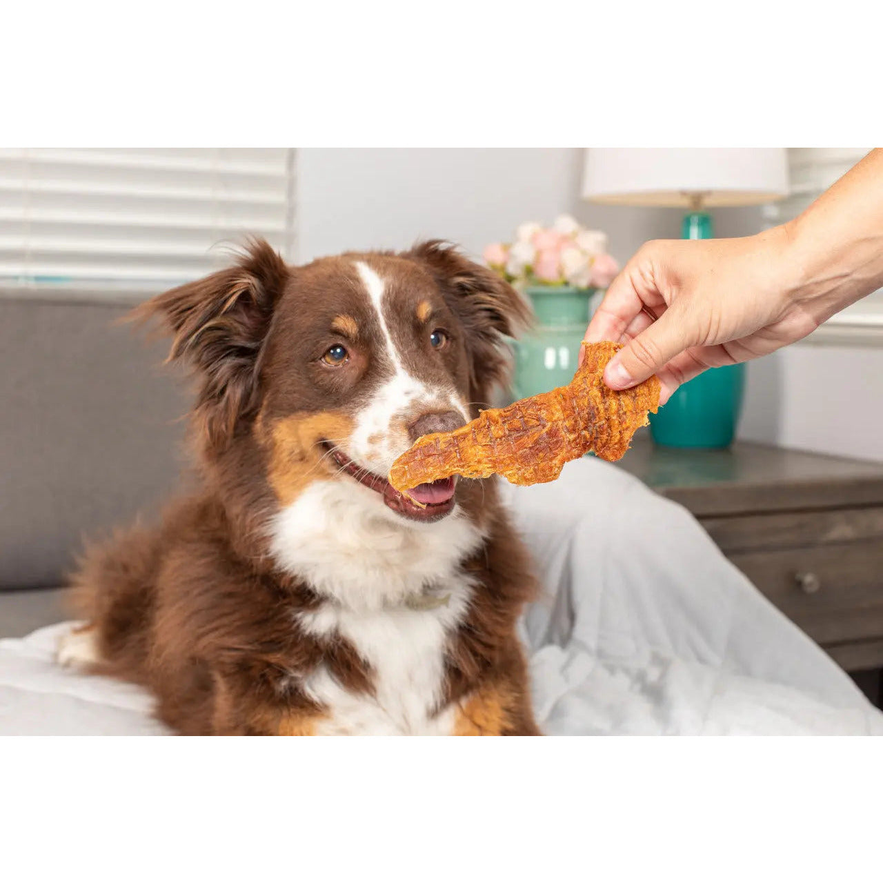 Natural Cravings Chicken Breast Strips Dog Chews 10 oz Barking Buddha