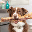 Natural Cravings USA Beef Trachea Dog Treat 6"-10" Barking Buddha