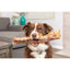 Natural Cravings USA Bison Trachea Dog Treats 12"-13" Half canoes Natural Cravings