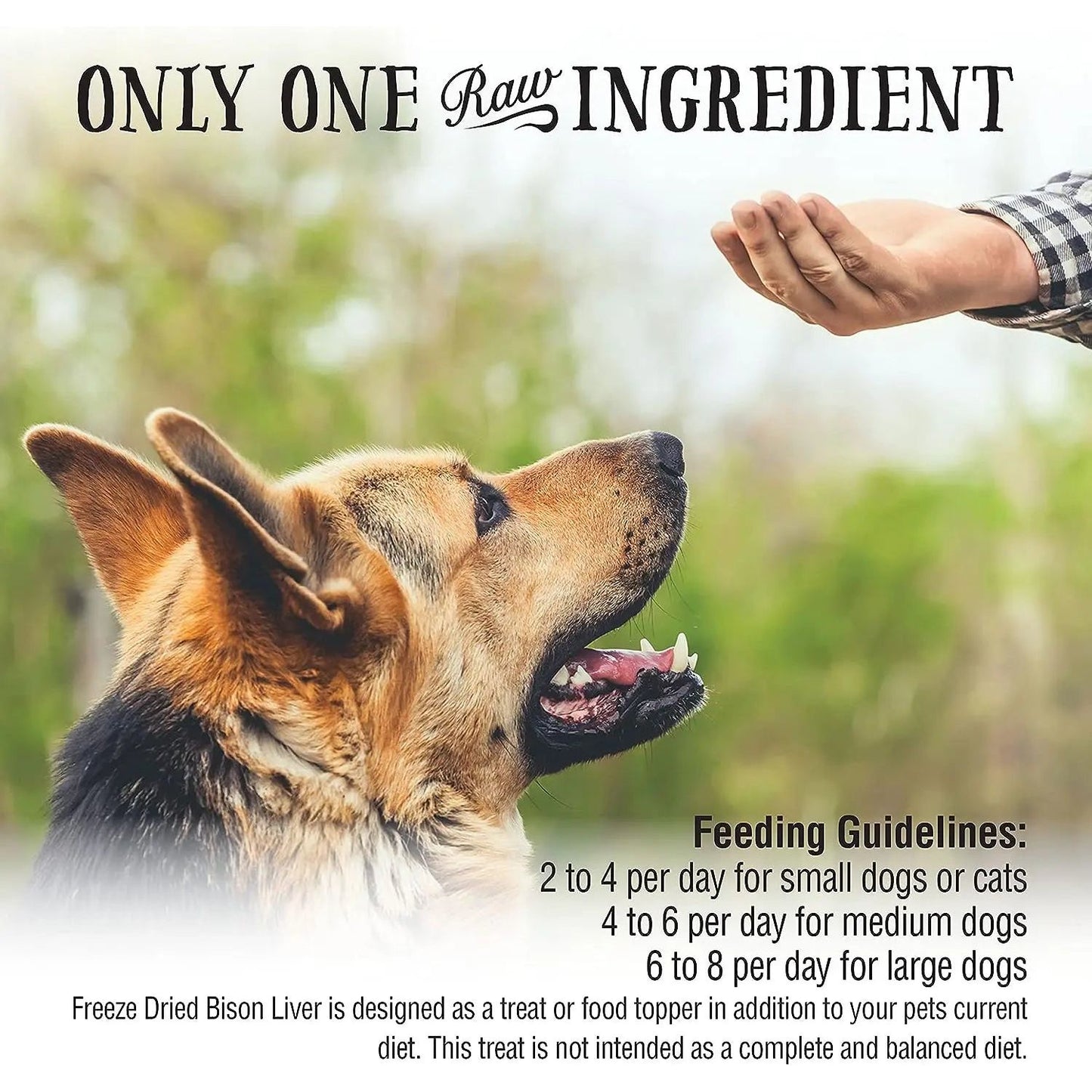 Northwest Naturals Bison Liver Freeze-Dried Treats for Dogs and Cats 3oz Northwest Naturals