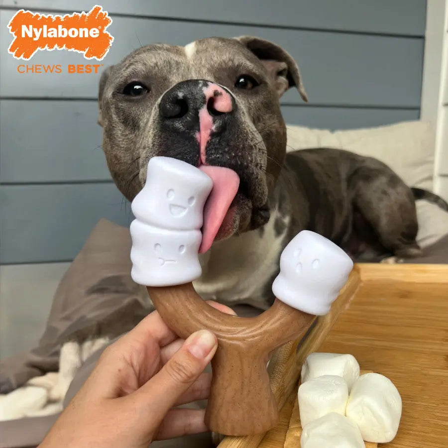 Nylabone Strong Chew Marshmallow Stick Dog Toy Nylabone