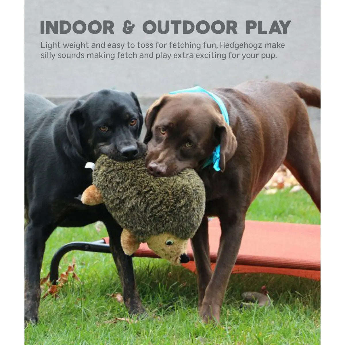 Outward Hound® Hedgehogz Dog Toys Outward Hound®