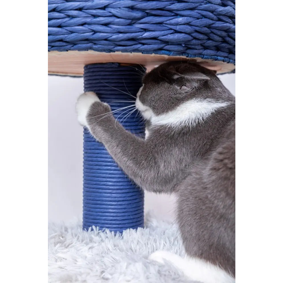 PetPals Blue Galaxy and Gray 4 Level Cat Tree With Condo and Shag fur PetPals Group