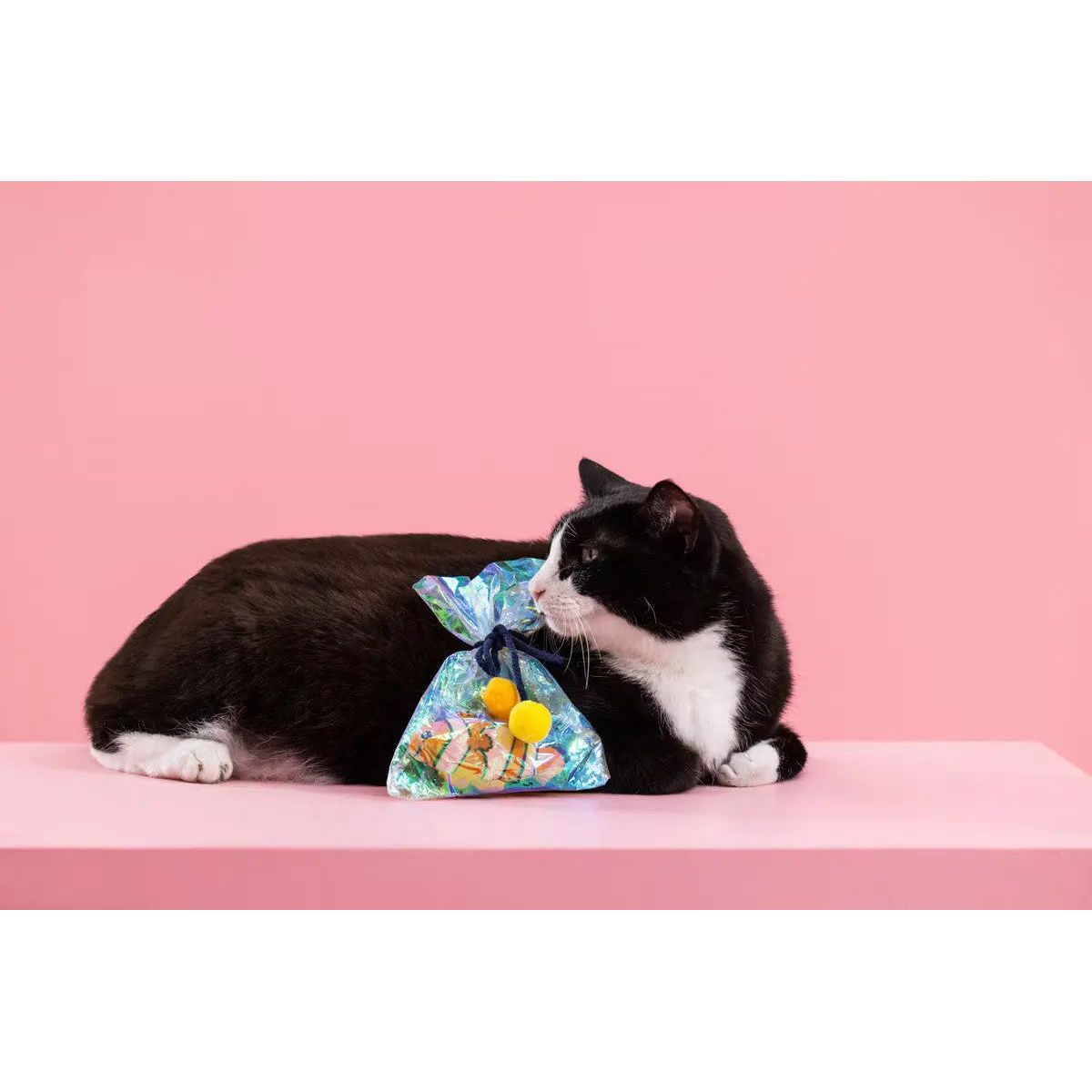 PetShop by Fringe Studio Clownin' Around Kicker Cat Toy PetShop by Fringe Studio