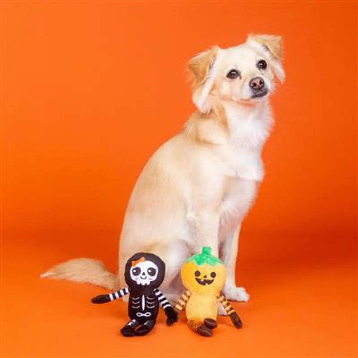 PetShop by Fringe Studio Oh My Gourd Plush Dog Toy PetShop by Fringe Studio