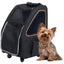 Petique 5-in-1 Pet Carrier for Dogs Cats and Small Animals Petique