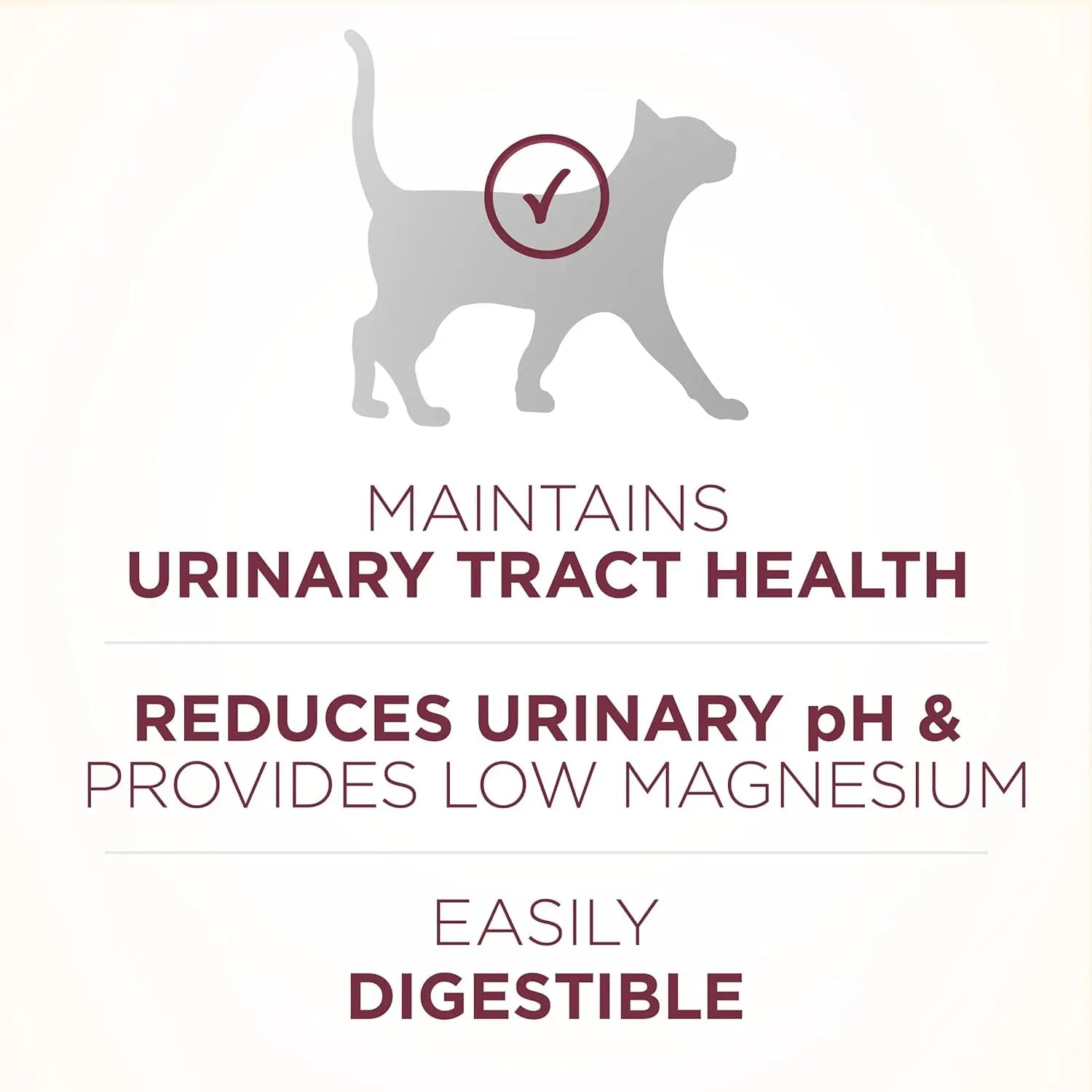 Purina One Special Care Urinary Health High Protein Adult Dry Cat Food Purina