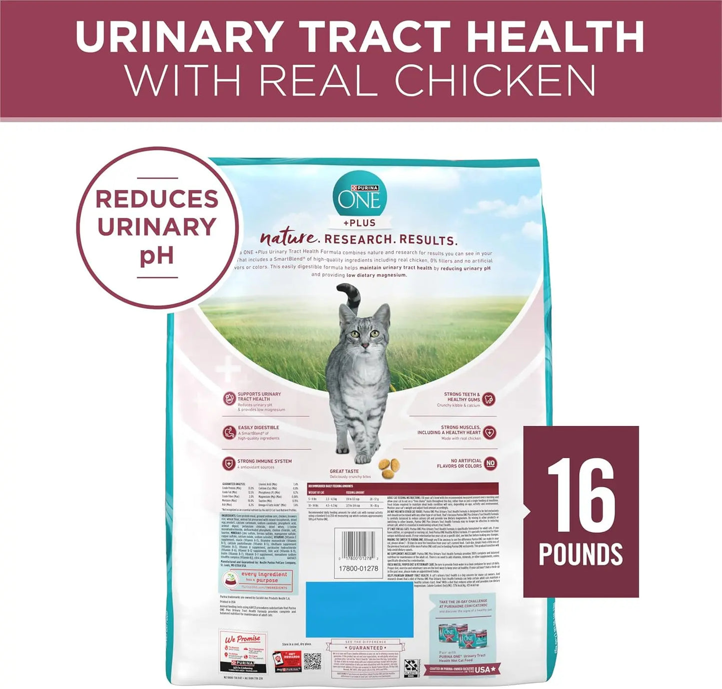 Purina One Special Care Urinary Health High Protein Adult Dry Cat Food Purina