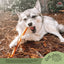 Redbarn Pet Products Collagen Stick Dog Treat 30 in, 25 ct Redbarn