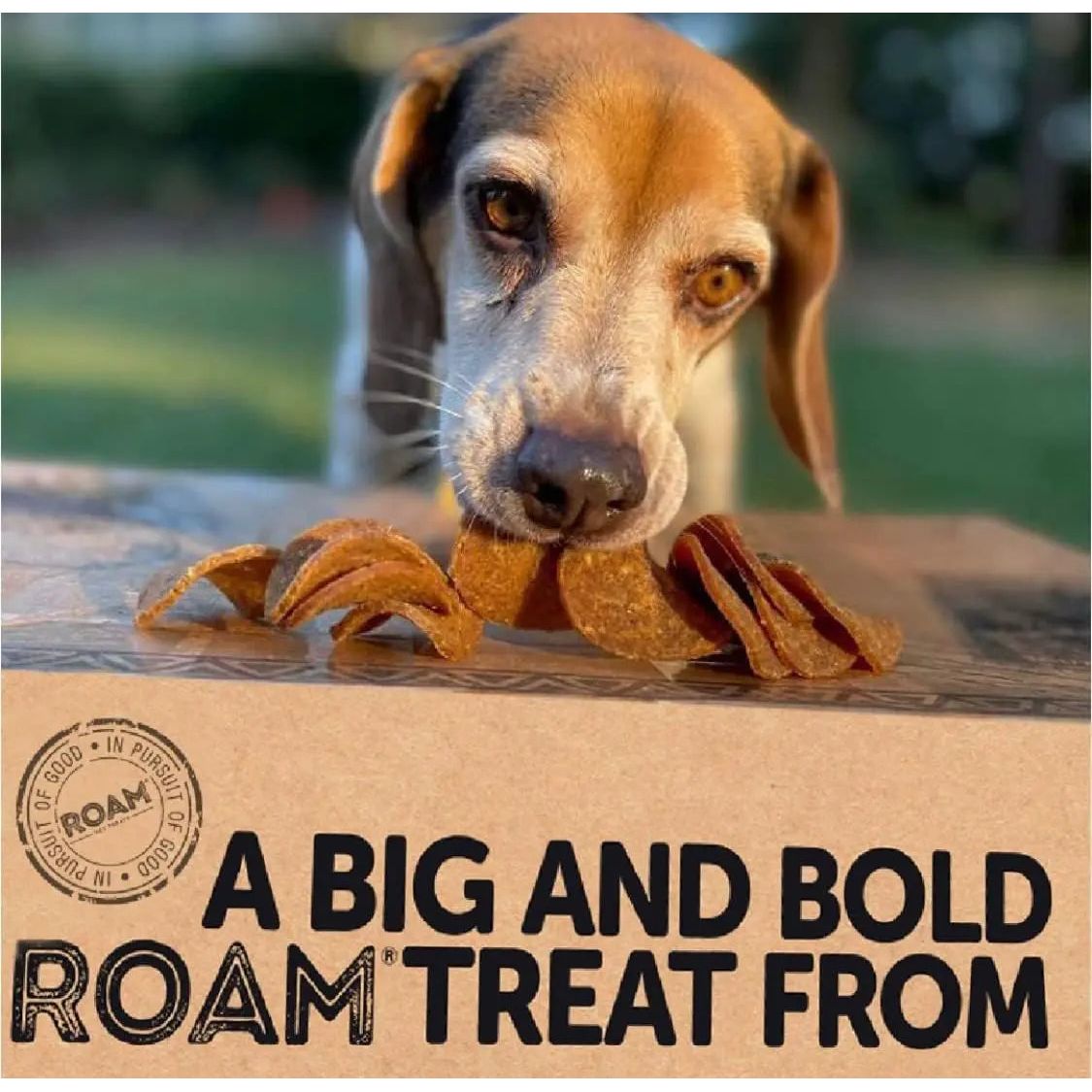 Roam Pet Treats Ossy Trainers Ostrich Training Treats for Dogs Roam